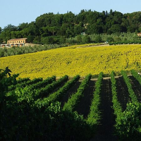 Bio Agriturismo Il Torrione Saturnia Buitenkant foto