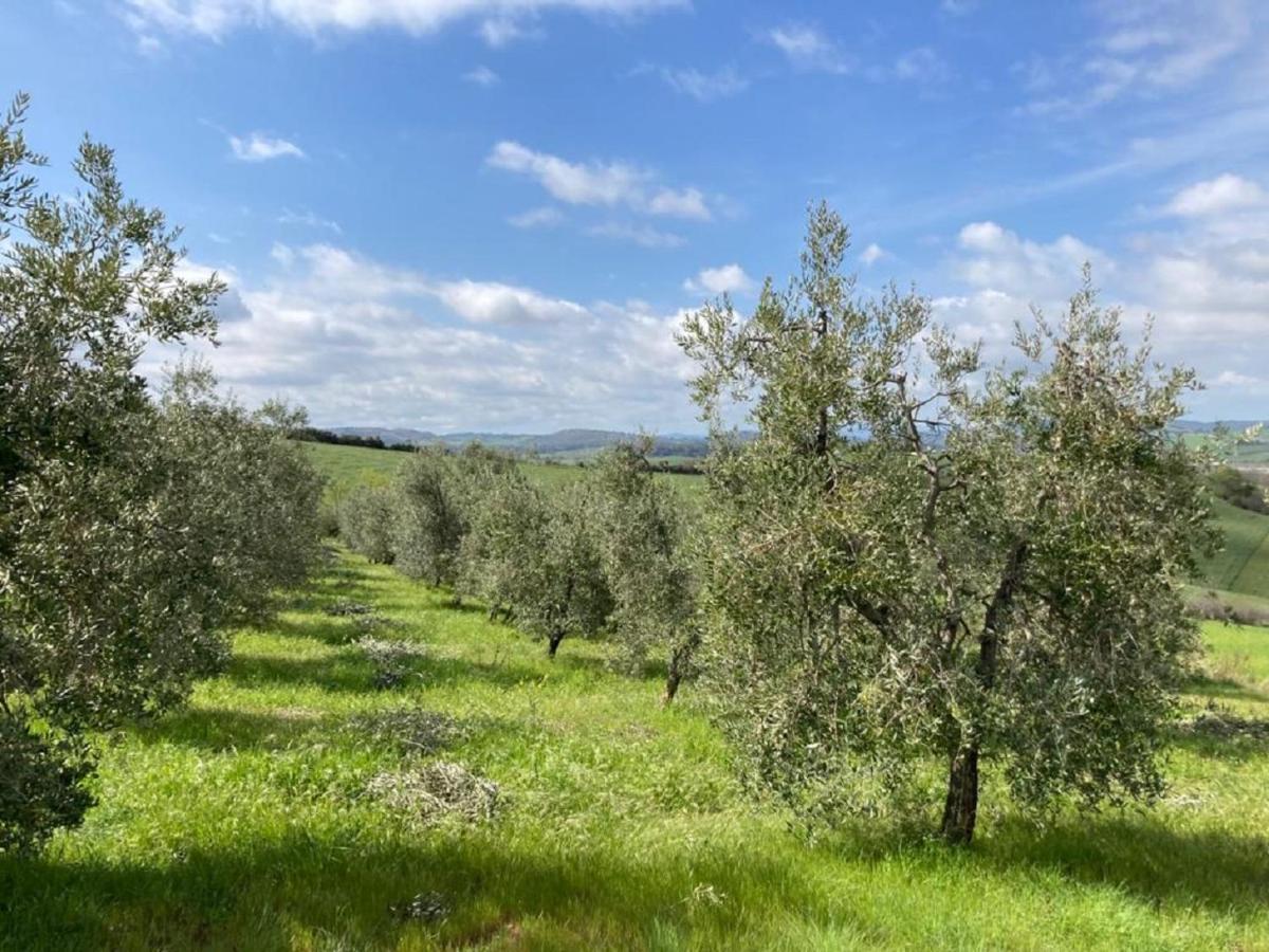 Bio Agriturismo Il Torrione Saturnia Buitenkant foto