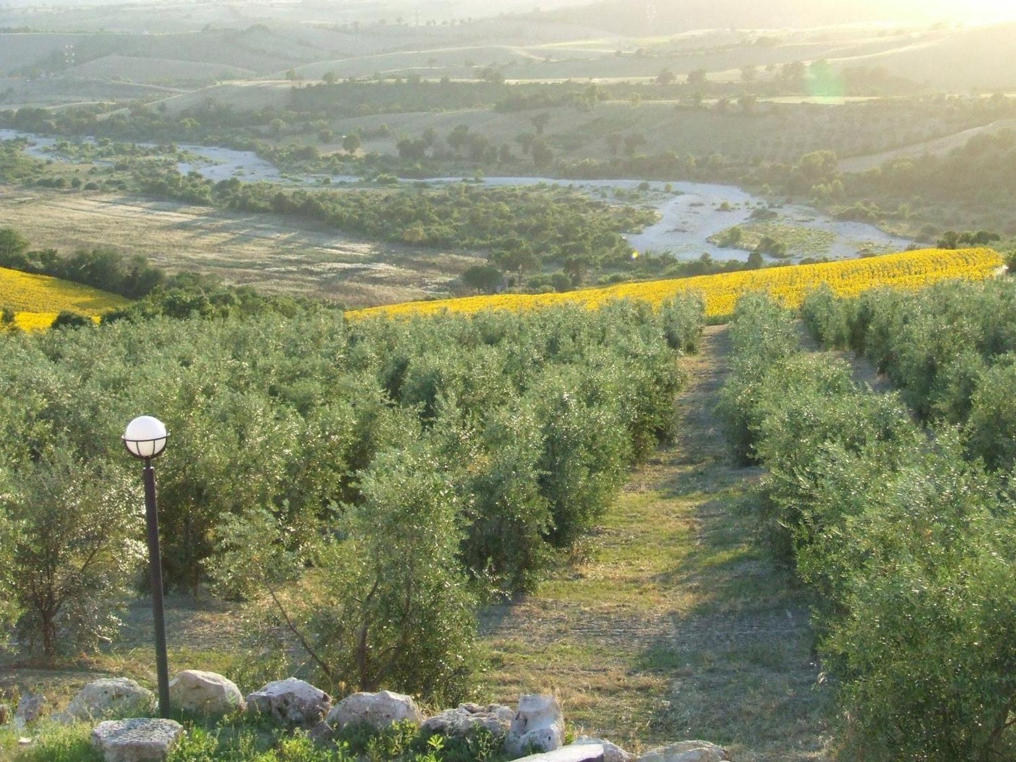 Bio Agriturismo Il Torrione Saturnia Buitenkant foto