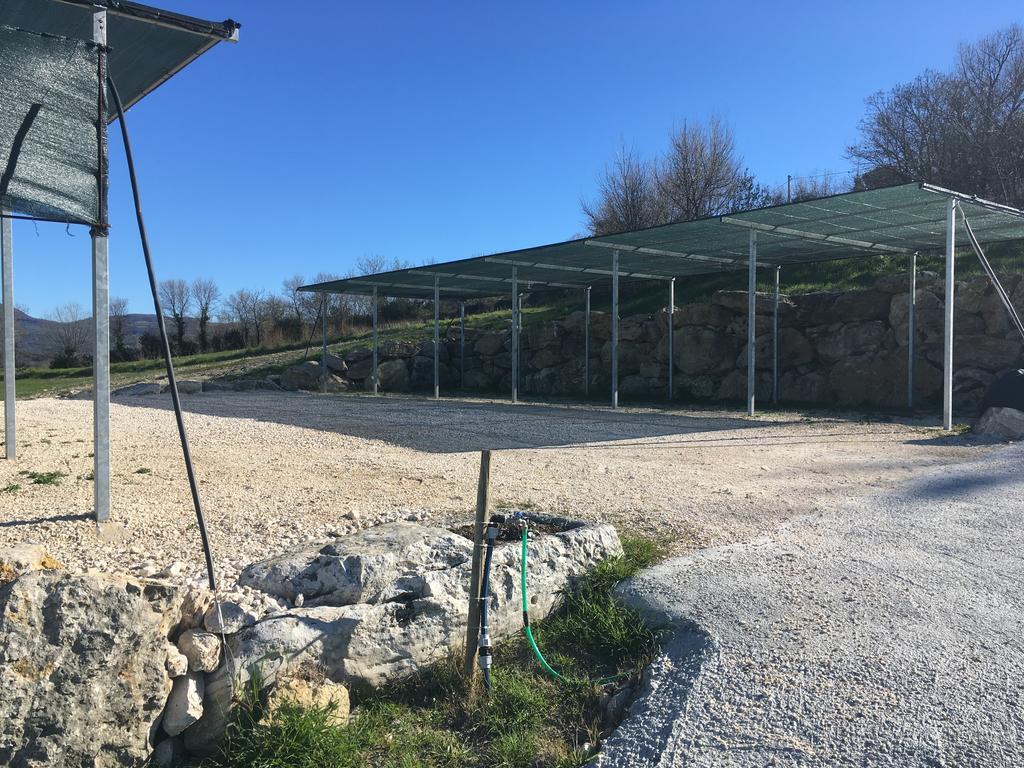 Bio Agriturismo Il Torrione Saturnia Buitenkant foto